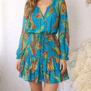 Farm Rio A-line printed dress ruffle beaded tassel accents large